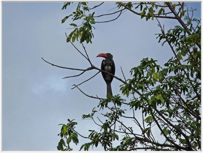 Lake Manyara national Park