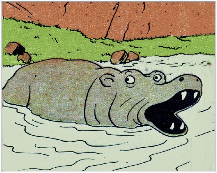 Des hippopotames