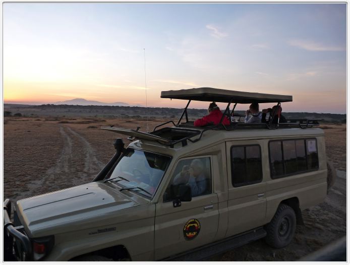 Safari matinal dans la région du Lac Ndutu