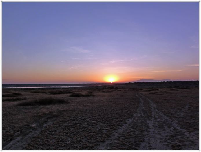 Safari matinal dans la région du Lac Ndutu
