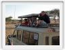 Safari matinal dans la région du Lac Ndutu