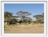 Ndutu Safari Lodge