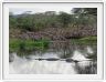 Le Serengeti en direction de Lobo