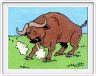 Les buffles