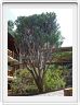 Notre lodge : Lobo wildlife Lodge