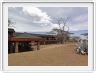 Seronera Wildlife Lodge