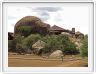 Seronera Wildlife Lodge