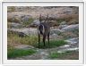 Parc national Tarangire