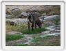 Parc national Tarangire