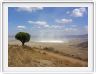 Cratère de Ngorongoro
