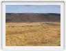 Safari dans le  Cratère de Ngorongoro