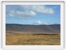 Safari dans le  Cratère de Ngorongoro
