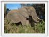 Ngorongoro Wildlife Lodge