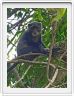 Parc National Arusha