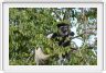Parc National Arusha (Photo Claude Jacot)