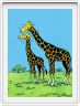 Les girafes