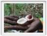 Zanzibar, Visite du Jardin aux épices.