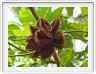 Zanzibar, Visite du Jardin aux épices.