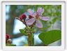 Zanzibar, Visite du Jardin aux épices.