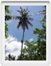 Zanzibar, Visite du Jardin aux épices.