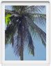 Zanzibar, Visite du Jardin aux épices.