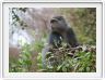 Lake Manyara national Park