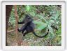 Lake Manyara national Park