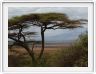 Lake Manyara national Park