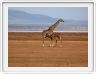 Lake Manyara national Park
