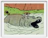 Des hippopotames