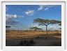 Ndutu Safari Lodge